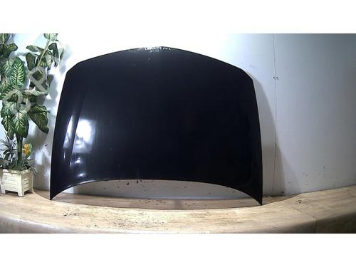 Used Hood RENAULT LAGUNA II (BG0/1_) 1.9 dCi (BG12) (116 hp) 25383395