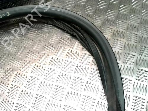 Gummiliste CITROËN C4 Picasso II 1.6 HDi / BlueHDi 115 | BP31224219C142 