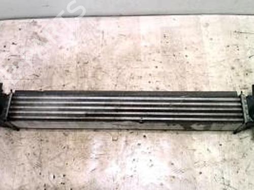 Used Intercooler VW POLO V (6R1, 6C1) 1.6 TDI (90 hp) 25430593
