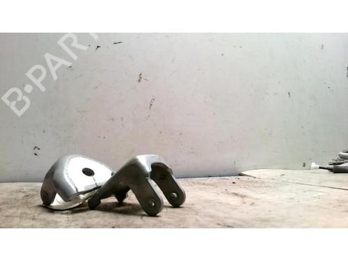 Hinge/Door check strap CITROËN C3 I (FC_, FN_) 1.4 16V | BP25423943C146 