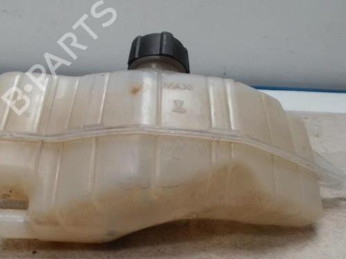 Expansion tank RENAULT CLIO III (BR0/1, CR0/1) 1.6 16V (BR05, BR0B, BR0Y, BR15, BR1J, BR1M, BR1Y, CR0B,... | BP25422105C120 