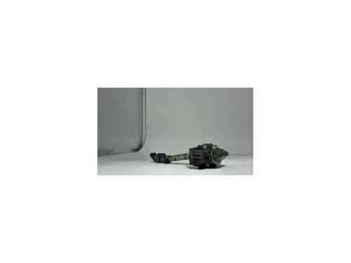 Used Hinge/Door check strap RENAULT CLIO IV (BH_) 1.5 dCi 90 (90 hp) 25430855