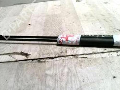 Used Tailgate lift support PEUGEOT 207 (WA_, WC_) 1.4 (73 hp) 25425576