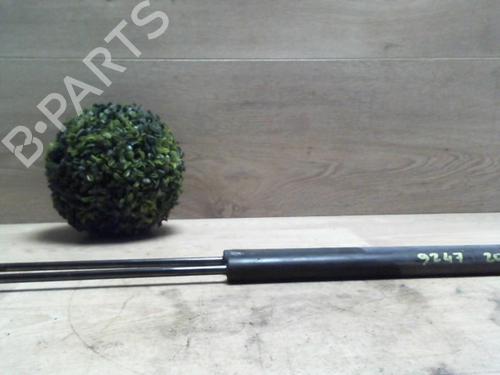 tailgate-lift-support-peugeot-207-wa_-wc_-2006-2007-2008-2009-2010-2011-2012-2013-2014-2015-25416331 main image