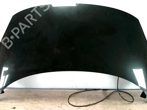 Used Hood RENAULT SCÉNIC III (JZ0/1_) 1.9 dCi (JZ0J, JZ1J, JZ1K, JZ1S) (131 hp) 25421178