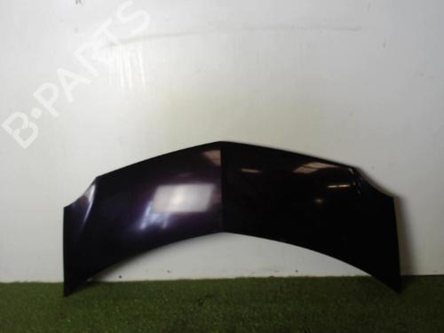 Capot RENAULT MODUS / GRAND MODUS (F/JP0_) 1.5 dCi (FP0E, JP0E) (65 hp) 25397029