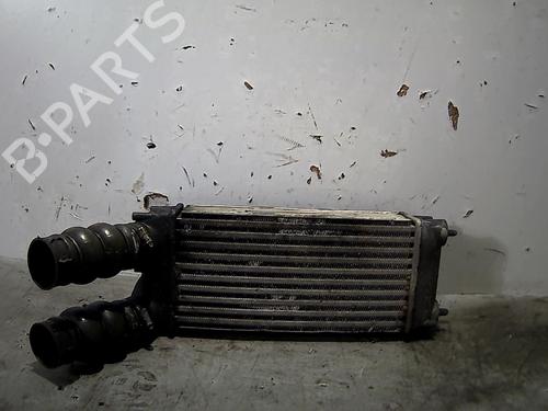 Intercooler Intercooler 31219793 31219793