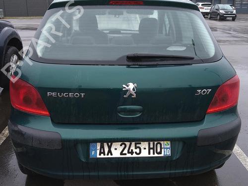 Tailgate lock PEUGEOT 307 (3A/C) 1.6 16V | BP29002675C101 