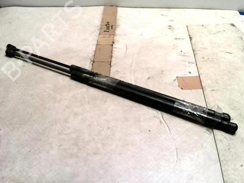Tailgate lift support FORD FIESTA V (JH_, JD_) 1.4 TDCi | BP26710329C138 