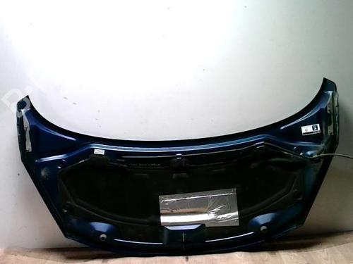 Used Hood Hood PEUGEOT 207 (WA_, WC_) 1.6 HDi (90 hp) 25426035 25426035