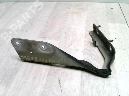 Hinge/Door check strap CITROËN C3 I (FC_, FN_) 1.4 HDi | BP25426678C146 