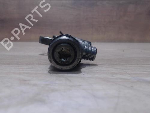 Used Injection rail RENAULT MEGANE II (BM0/1_, CM0/1_) 1.9 dCi (BM0G, CM0G) (120 hp) 31218443