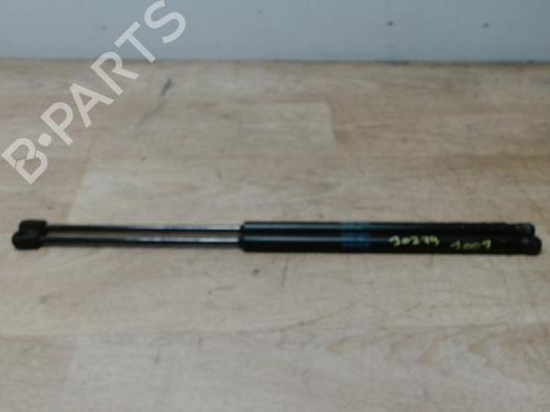 Tailgate lift support PEUGEOT 1007 (KM_) 1.4 | BP29025304C138 