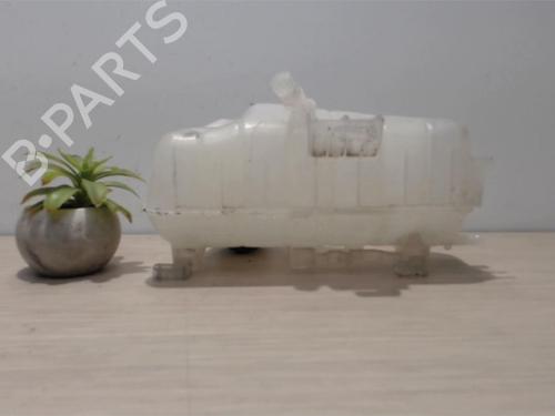 Expansion tank RENAULT KANGOO Express (FW0/1_) 1.5 dCi 75 (FW07, FW10, FW04) | BP25392213C120 