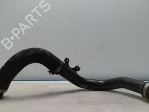 Used Pipe NISSAN QASHQAI I (J10, NJ10) 1.5 dCi (106 hp) 25419153