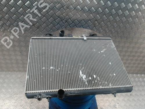 water-radiator-peugeot-206-2l_-2m_-2009-2010-2011-2012-2013-31228150 main image