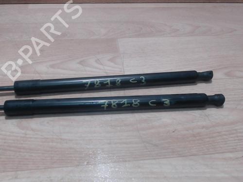 tailgate-lift-support-citroen-c3-picasso-sh_-2008-25411658 main image