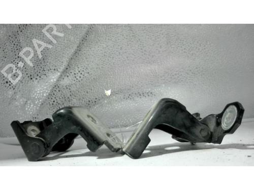 Hinge/Door check strap RENAULT CLIO IV (BH_) 1.5 dCi 90 | BP25430846C146 
