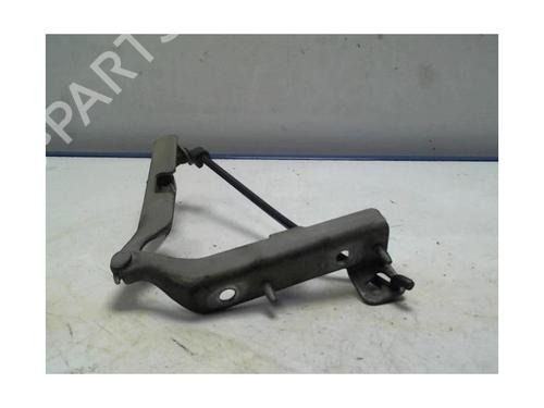 Hinge/Door check strap CITROËN C3 I (FC_, FN_) 1.6 16V HDi | BP25418238C146 