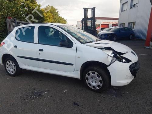 Licence plate light PEUGEOT 206+ (2L_, 2M_) 1.4 HDi eco 70 | BP25428162I40 