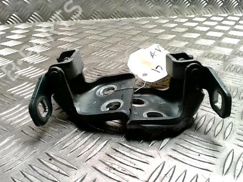 Hinge/Door check strap DACIA SANDERO 1.5 dCi | BP31225272C146