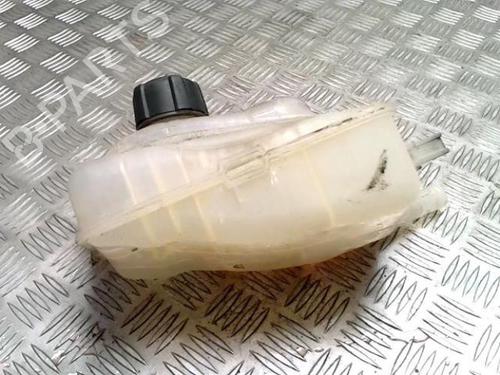 Expansion tank RENAULT SCÉNIC III (JZ0/1_) 1.6 dCi (JZ00, JZ12) | BP30809669C120