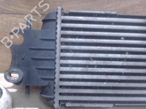Intercooler RENAULT TRAFIC II Bus (JL) 1.9 dCI 100 (JL0C, JL0K) (101 hp) 25384767