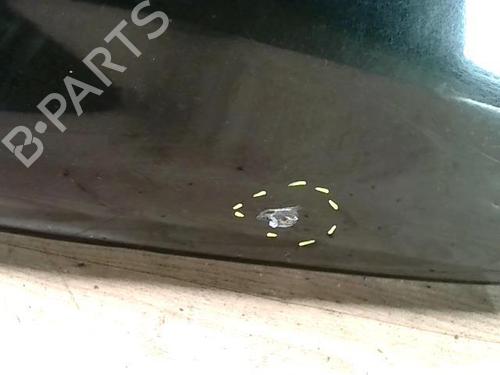 Used Left front fenders Left front fenders RENAULT MEGANE II (BM0/1_, CM0/1_) 1.9 dCi (115 hp) 34417264 34417264