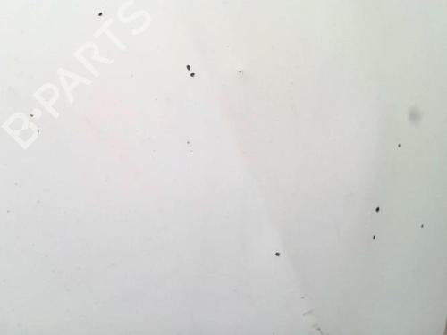 Hood FORD TRANSIT Van (FA_ _) 2.2 TDCi | BP30532474C1 