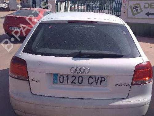 Engine mount AUDI A3 (8P1) 2.0 TDI 16V | BP21470850M89 