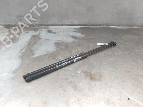tailgate-lift-support-peugeot-1007-km_-2005-39530842 main image