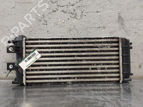 Intercooler CITROËN C4 II (NC_) | BP31317464M30
