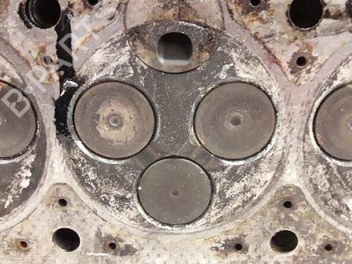 Cylinder head RENAULT LAGUNA I (B56_, 556_)  | BP21450464M5 