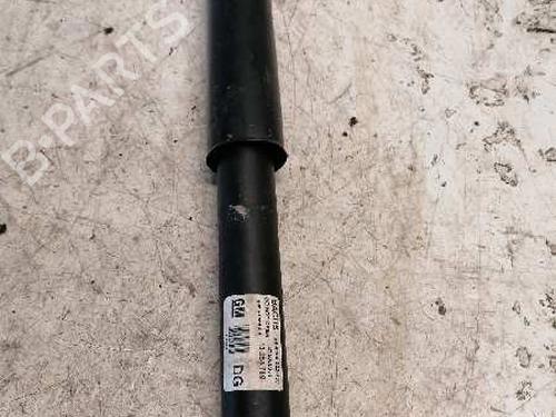 Højre bagtil støddæmper OPEL VECTRA C (Z02) [2002-2009]  21481551