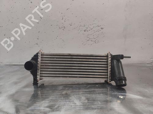 Used Intercooler RENAULT KANGOO Express (FW0/1_) 1.5 dCi 90 (FW0G, FW05, FW08, FW11) (90 hp) 29113603