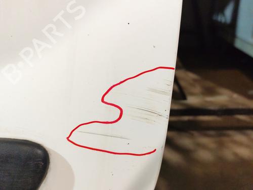 Left rear door RENAULT KANGOO (KC0/1_) 1.5 dCi | BP24867146C4 