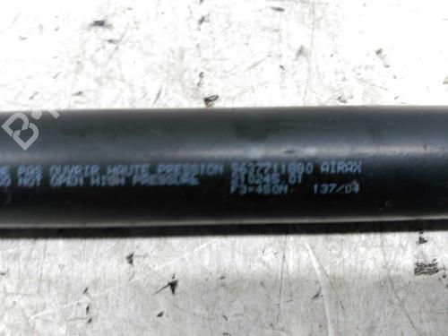 Tailgate lift support PEUGEOT 307 (3A/C)  | BP21437047C138 