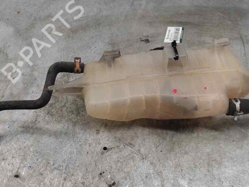 Expansion tank RENAULT CLIO III (BR0/1, CR0/1)  | BP21411993C120 