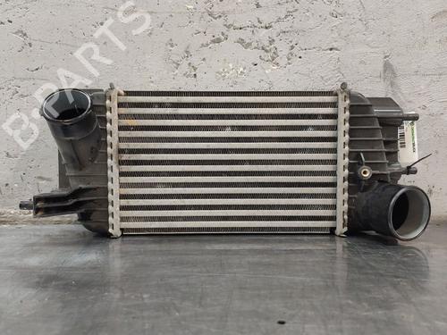 Intercooler NISSAN JUKE (F15) 1.6 DIG-T NISMO RS (218 hp) 31290941