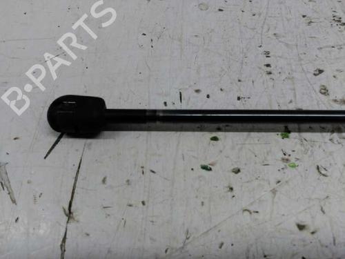 Tailgate lift support FORD FOCUS C-MAX (DM2)  | BP21440319C138 