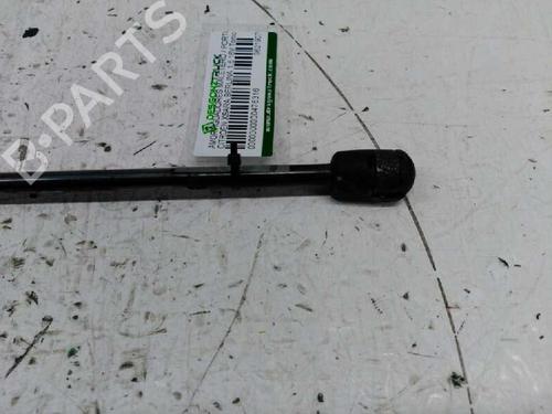 Tailgate lift support CITROËN XSARA (N1)  | BP21439286C138 