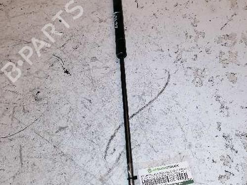 Gassdemper Bakluke FORD FOCUS C-MAX (DM2) [2003-2007]  21479876
