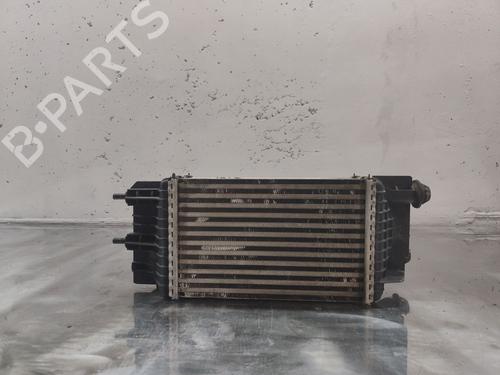 Used Intercooler NISSAN NV200 / EVALIA Bus 1.5 dCi 90 (M20, M20M) (90 hp) 29113620
