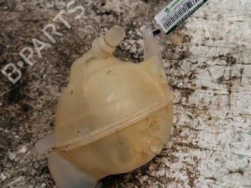 Expansion tank CITROËN C4 II (NC_)  | BP21474750C120