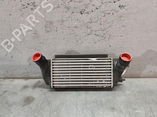 Intercooler FORD ECOSPORT 1.0 EcoBoost (125 hp) 28608813