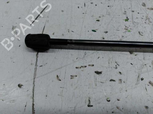 Gasdæmper bagklap FORD FOCUS C-MAX (DM2)  | BP21440301C138 