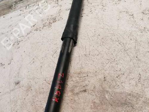 Right rear shock absorber FORD FOCUS C-MAX (DM2)  | BP21481247M19 