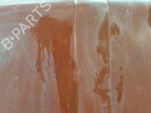 Hood RENAULT 6 (118_)  | BP28681730C1