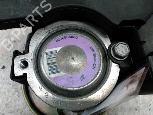 Steering pump PEUGEOT 206 Hatchback (2A/C)  | BP21436154M99 