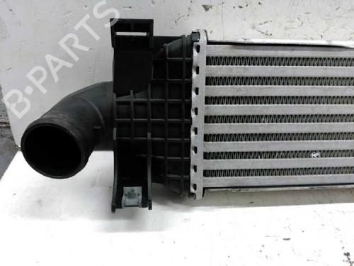 Intercooler FORD FOCUS II (DA_, HCP, DP)  | BP21440862M30 